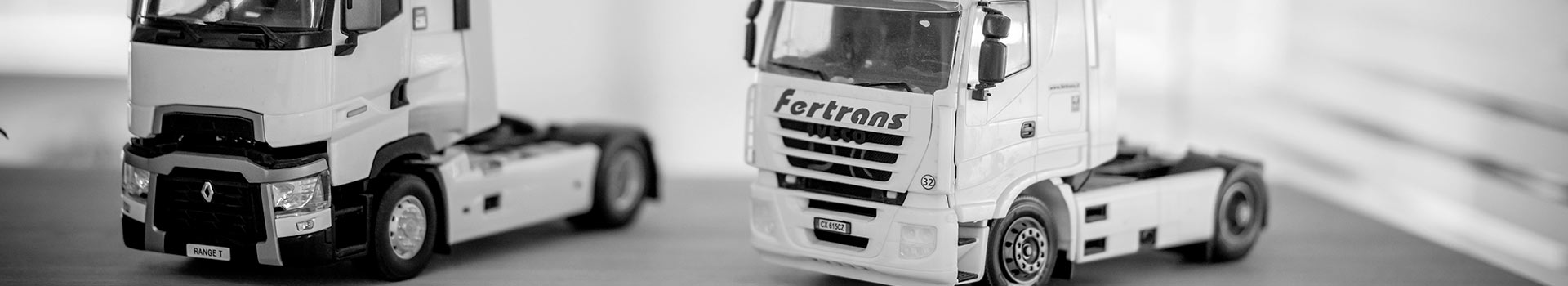 Intestazione social wall Fertrans